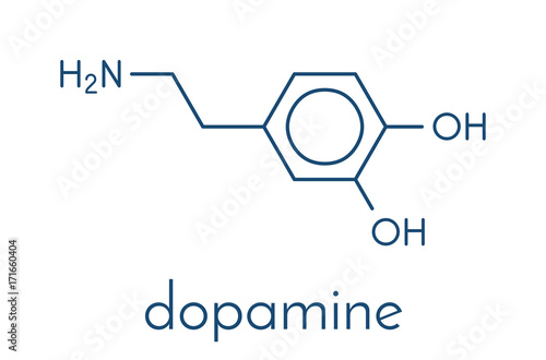 Dopamine neurotransmitter molecule. Also used as drug. Skeletal formula. photo
