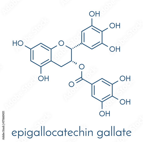 Epigallocatechin gallate (EGCG) green tea polyphenol molecule. Has antioxidant properties and may contribute to health effects of tea. Skeletal formula.