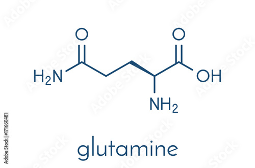 Glutamine (l-glutamine, Gln, Q) amino acid molecule. Skeletal formula. photo