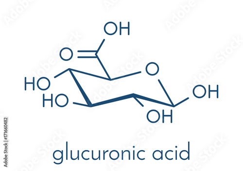 Glucuronic acid molecule. Glucuronidation of xenobiotics plays role in drug metabolism, giving glucuronides. Skeletal formula. photo