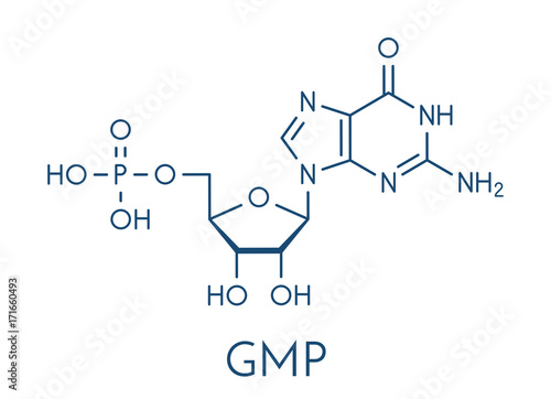 Guanosine monophosphate (GMP, guanylic acid) RNA building block molecule. Guanylate salts are used as umami flavor enhancers in food. Skeletal formula.