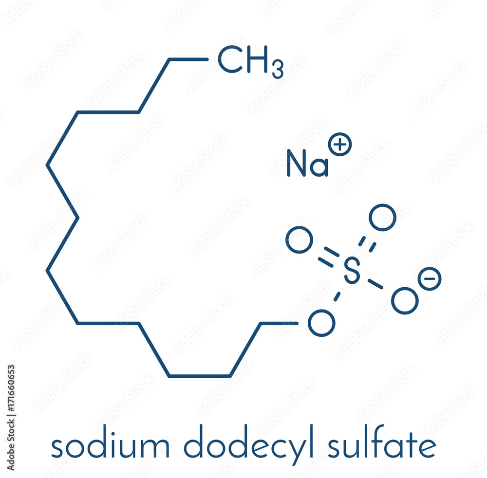 Sodium Dodecyl Sulfate or SDS, Sodium Lauryl Sulfate, Surfactant Molecule.  Skeletal Formula. Stock Vector - Illustration of chemical, sulfate:  239580350