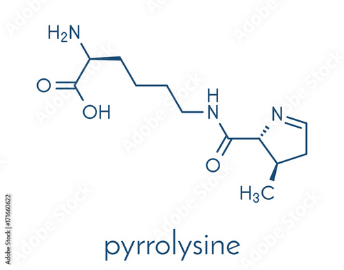 Pyrrolysine (l-pyrrolysine, Pyl, O) amino acid molecule. Skeletal formula.