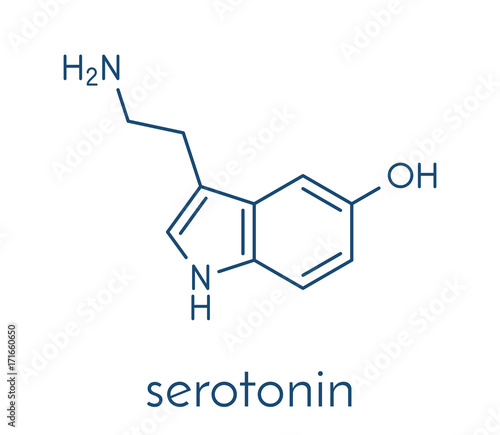 Serotonin neurotransmitter molecule. Skeletal formula.
