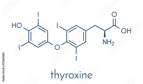 Thyroxine (T4, levothyroxine) thyroid hormone molecule. Prohormone of thyronine (T3). Used as drug to treat hypothyroidism. Skeletal formula.