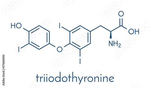 Triiodothyronine (T3, liothyronine) thyroid hormone molecule. Pituitary gland hormone. Also used as drug to treat hypothyroidism. Skeletal formula.