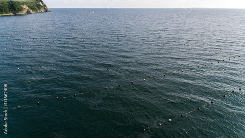 mussel farm from aerial shoot top view photo