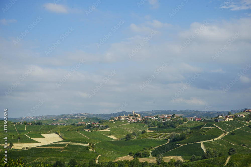 Hills in the Langhe around Castiglion Falletto, Piedmont - Italy