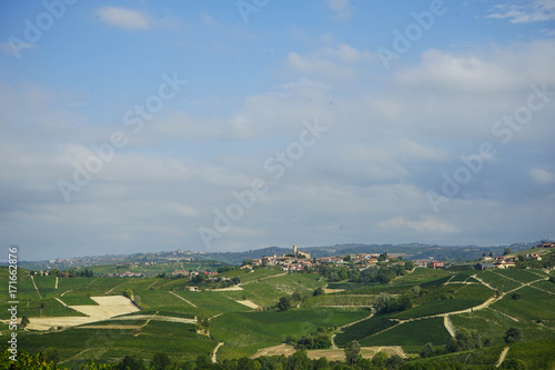 Hills in the Langhe around Castiglion Falletto  Piedmont - Italy
