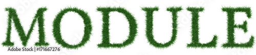 Module - 3D rendering fresh Grass letters isolated on whhite background.