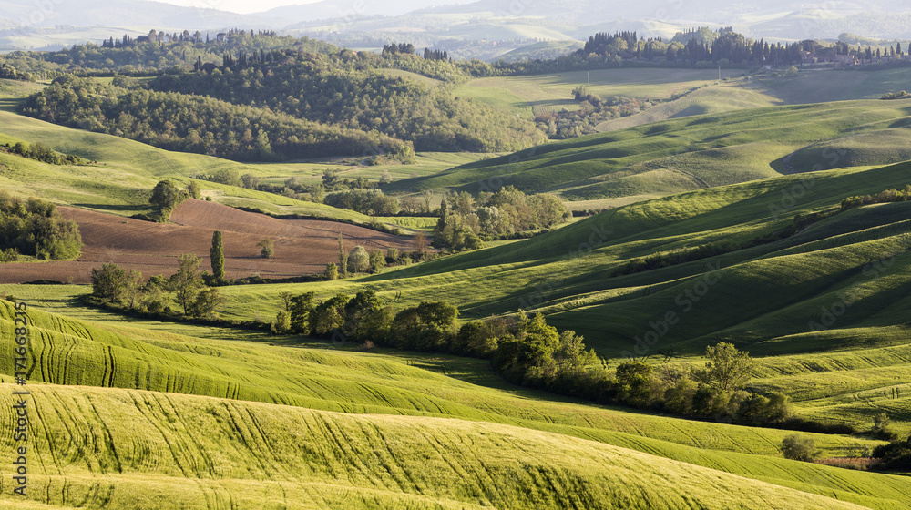 Tuscan rural landscape Tuscan rural landscape