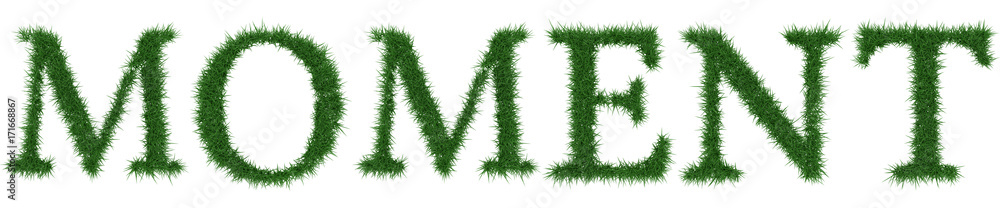Moment - 3D rendering fresh Grass letters isolated on whhite background. Moment - 3D rendering fresh Grass letters isolated on whhite background.