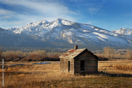 Abandoned Homestead