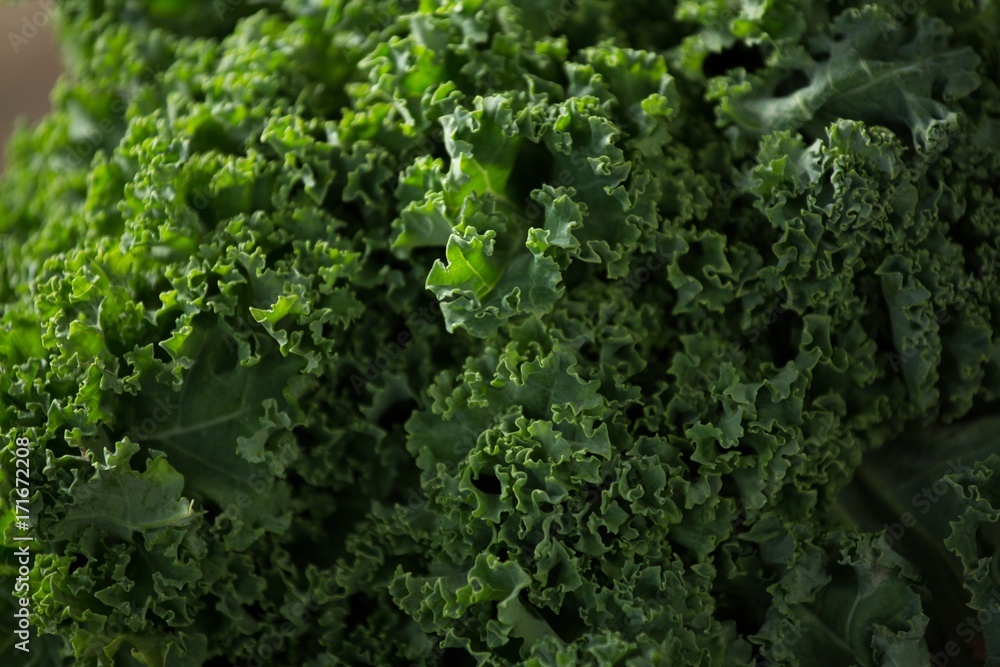 Close-up of kale