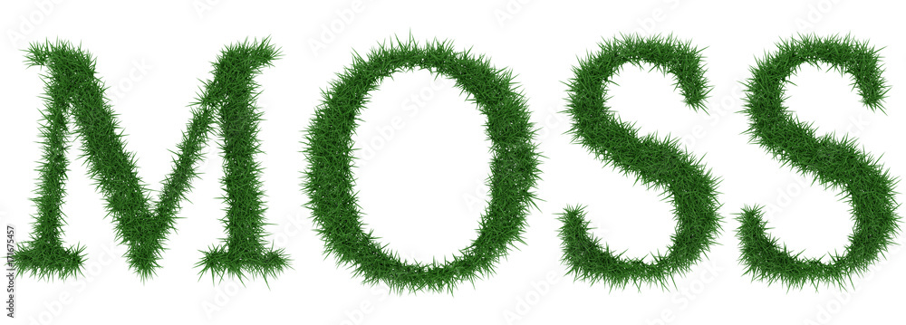 Moss - 3D rendering fresh Grass letters isolated on whhite background. Moss - 3D rendering fresh Grass letters isolated on whhite background.