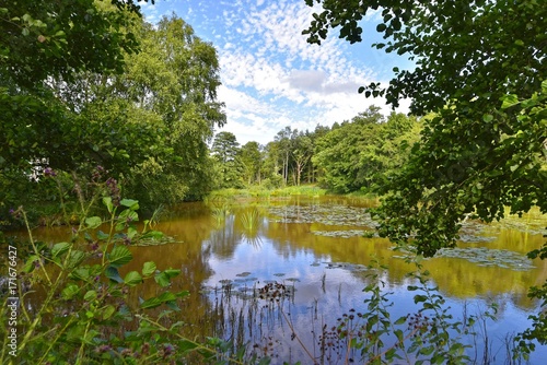 Herstmonceux Castle - Garden and Grounds photo