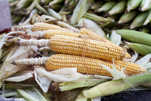 Maize is backed and selling in roadside photo