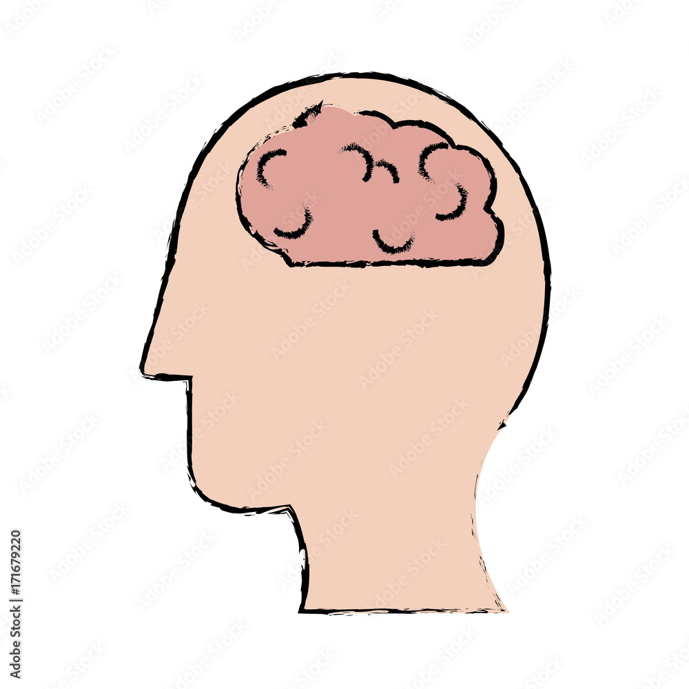 head and human brain icon over white background colorful design vector illustration head and human brain icon over white background colorful design vector illustration