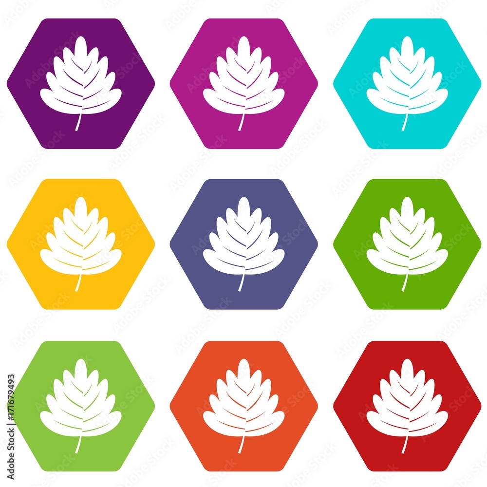 Fototapeta premium Hawthorn leaf icon set color hexahedron