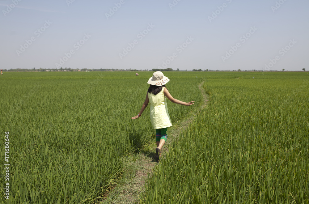 A girl wakling through a greenfield with arms stretched A girl wakling through a greenfield with arms stretched