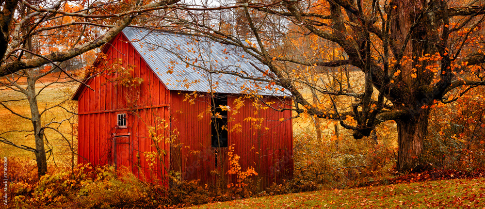 Autumn landscape with little red barn. Colorful orange and yellow fall leaves. Banner format - obrazy, fototapety, plakaty 