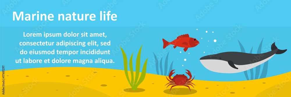 Marine nature life banner horizontal concept Marine nature life banner horizontal concept