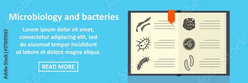 Konstfotografi Microbiology and bacteries banner horizontal concept