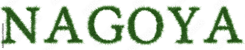 Nagoya - 3D rendering fresh Grass letters isolated on whhite background. Nagoya - 3D rendering fresh Grass letters isolated on whhite background.