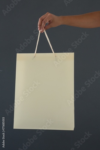 Cropped hand of female customer holding shopping bag