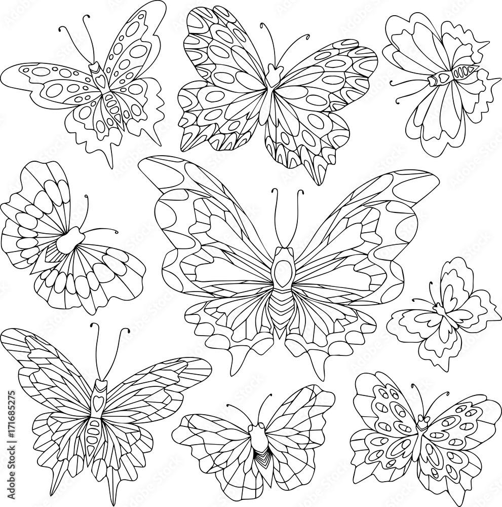 Set of different butterflies with beautiful wings