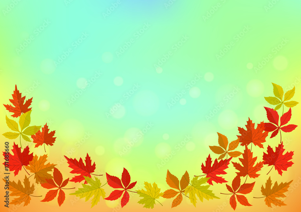 autumn leaves background 15