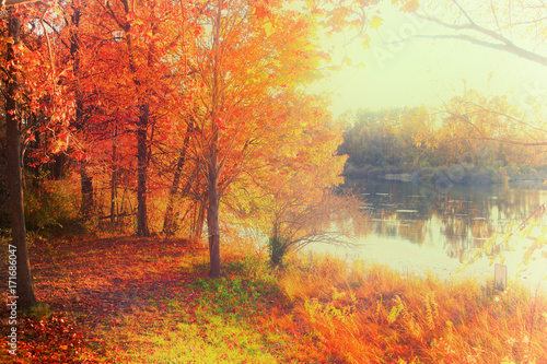 Fall foliage by the lake
