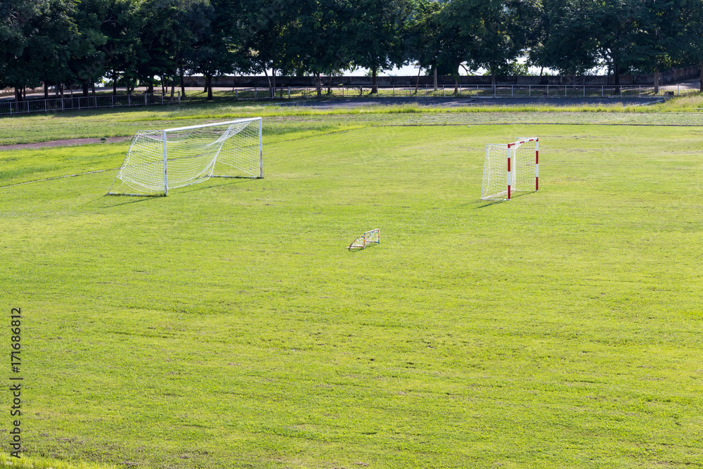 Obraz premium Green lawn with a football goal.