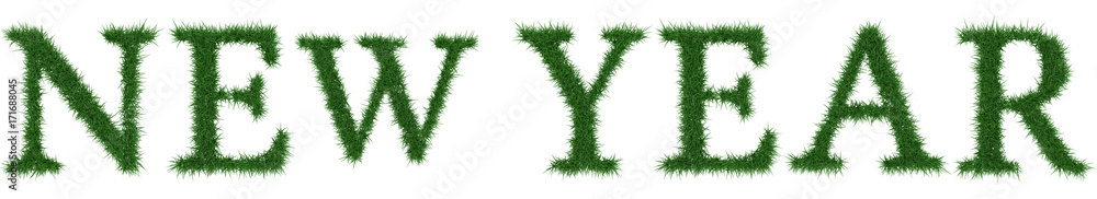 New Year - 3D rendering fresh Grass letters isolated on whhite background. New Year - 3D rendering fresh Grass letters isolated on whhite background.