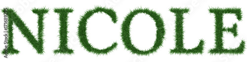Tableau sur toile Nicole - 3D rendering fresh Grass letters isolated on whhite background