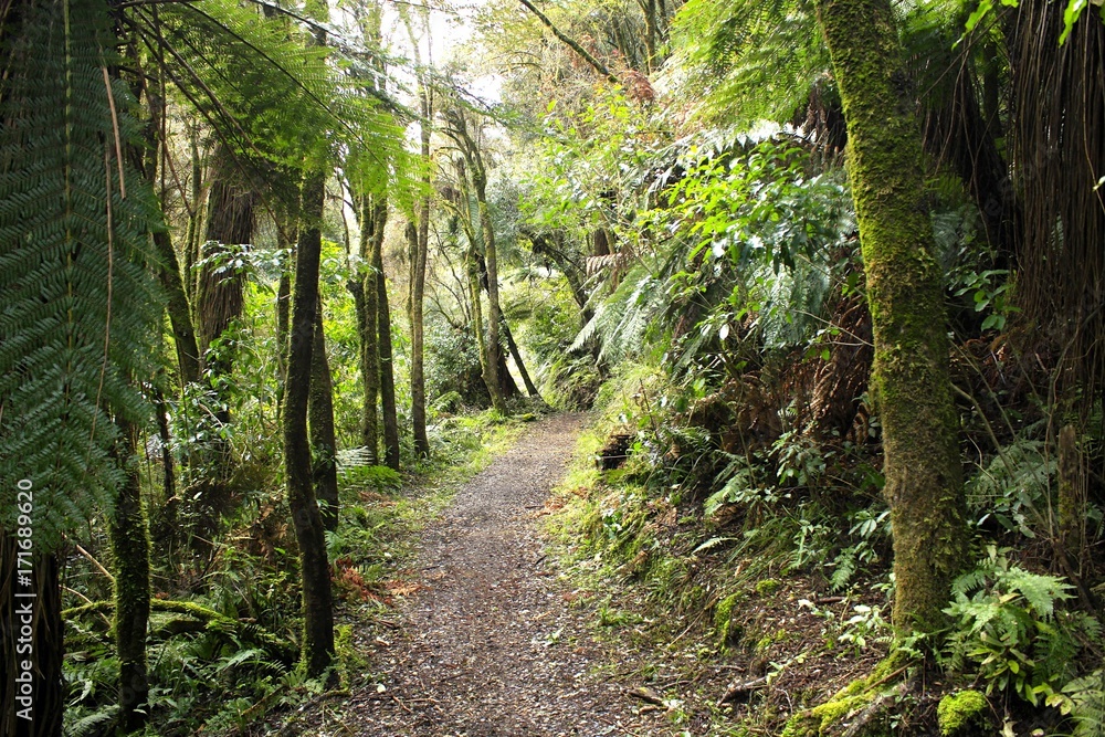 Obraz premium Tongariro National Park in New Zealand
