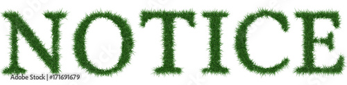 Notice - 3D rendering fresh Grass letters isolated on whhite background. photo