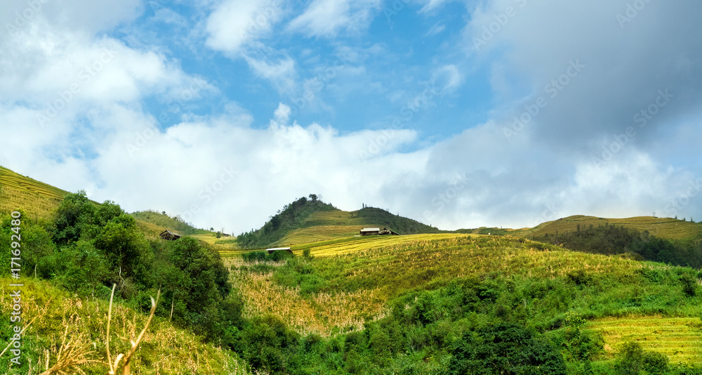 Fototapeta premium Rice fields on terraced of Mu Cang Chai, YenBai, Vietnam. Vietnam landscapes.