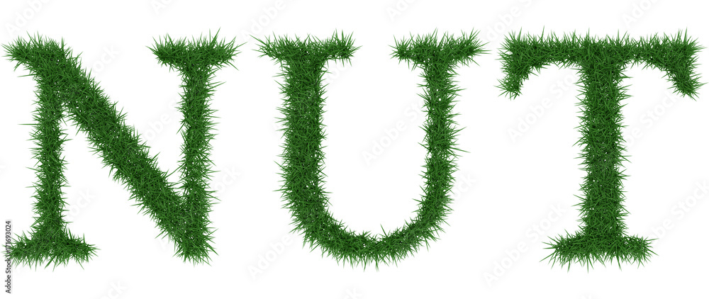 Nut - 3D rendering fresh Grass letters isolated on whhite background. Nut - 3D rendering fresh Grass letters isolated on whhite background.