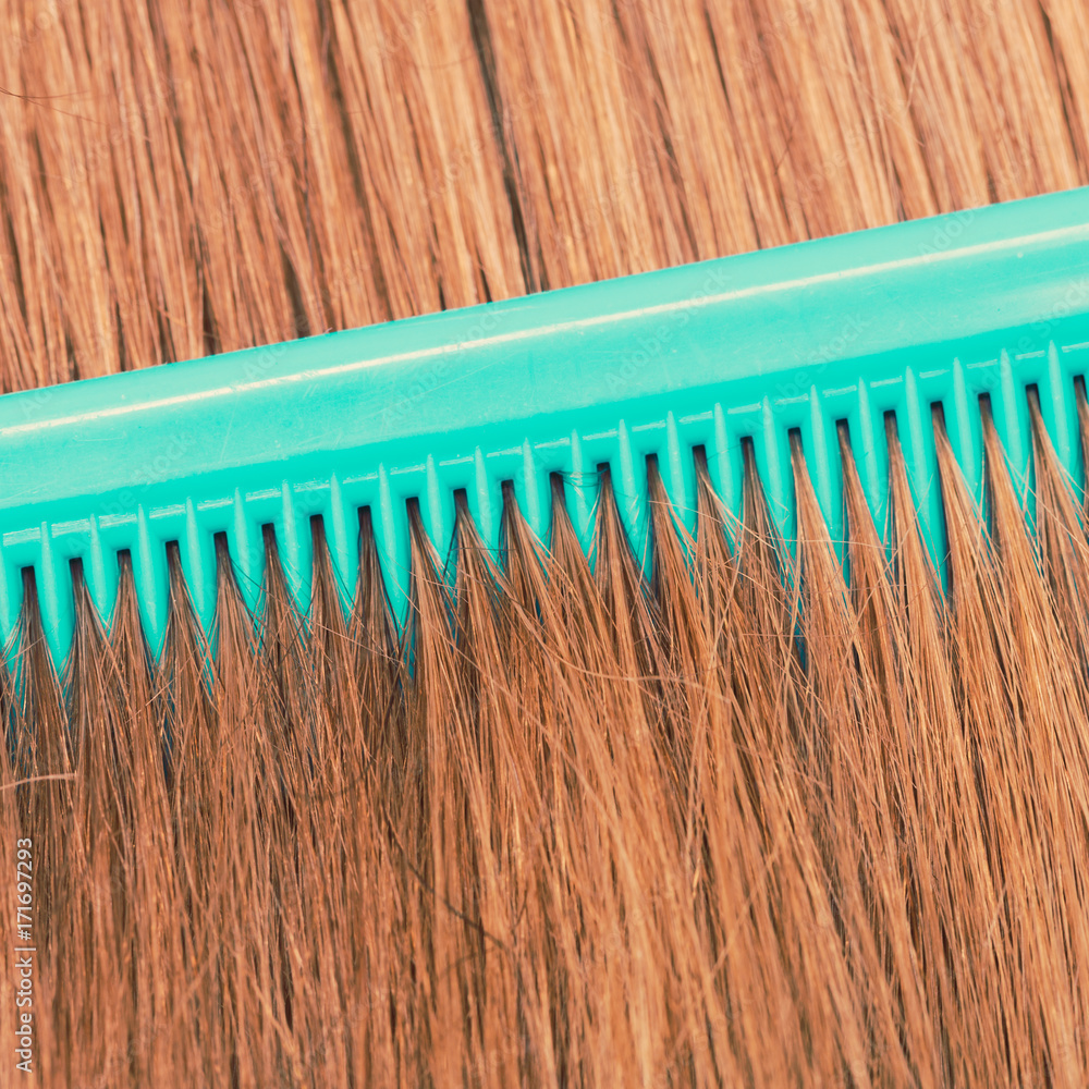 Obraz premium Close up of green comb in red hair.