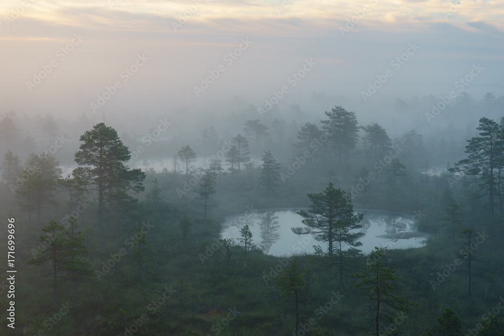 Foggy morning over Konnu Suursoo bog