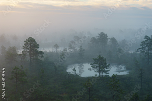 Foggy morning over Konnu Suursoo bog © alexpolo