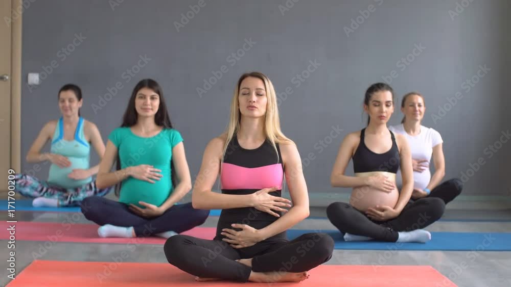 Group of Pregnant womans engaged in yoga. Active lifestyle of a pregnant girl Group of Pregnant womans engaged in yoga. Active lifestyle of a pregnant girl