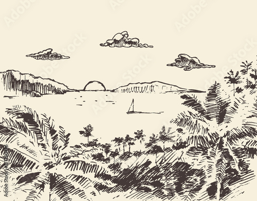 Beautiful drawn vacation palm ocean vector sketch