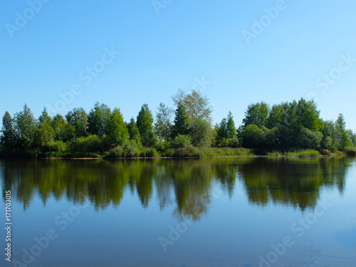 Trees reflected in the water