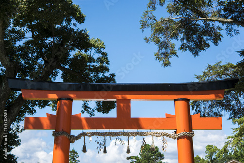 a trii gate in Kyoto, Japan. photo