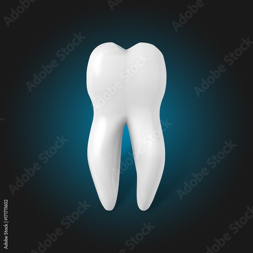 Illustration of Vector Tooth. Realistic 3D Teeth Template