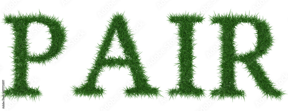 Pair - 3D rendering fresh Grass letters isolated on whhite background. Pair - 3D rendering fresh Grass letters isolated on whhite background.