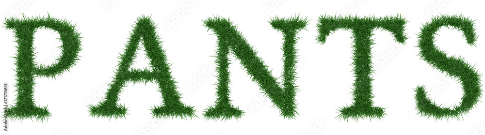 Pants - 3D rendering fresh Grass letters isolated on whhite background. Pants - 3D rendering fresh Grass letters isolated on whhite background.