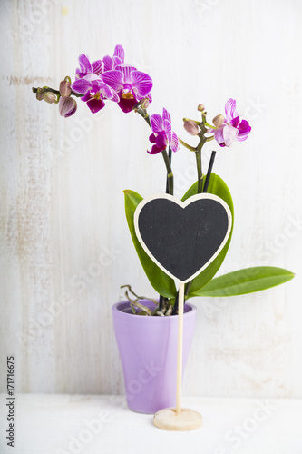 Orchid (Phalaenopsis ) and heart